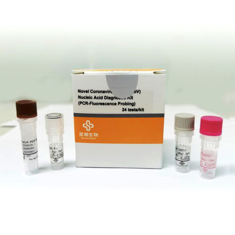 CE FDA Certificated PCR Fluorescence Probing COVID-19 Test Kit
