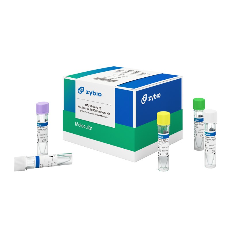SarsCov2 Nucleic Acid Detection COVID19 Test Kit Buy SarsCov2